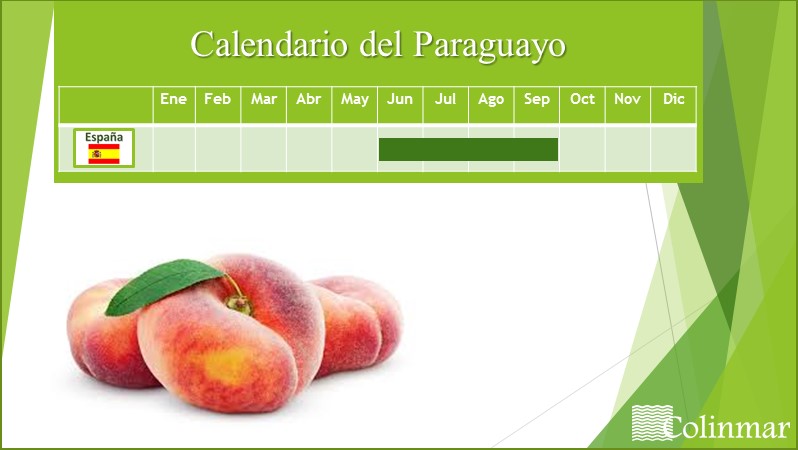 calendario-paraguayo